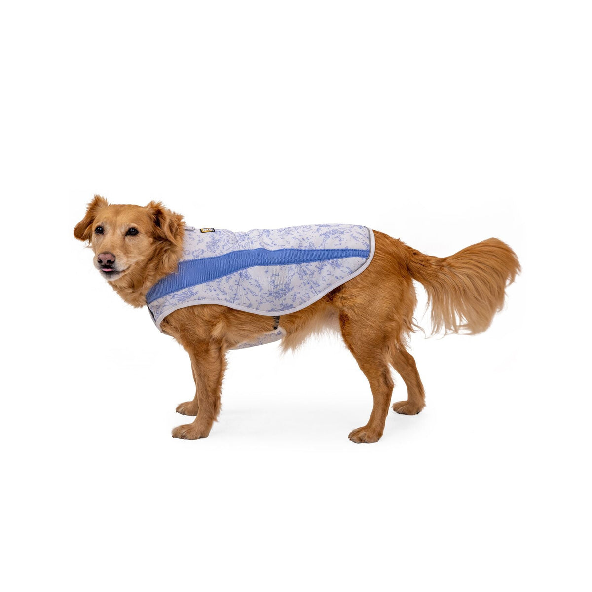 Ruffwear Swamp Cooler Vest Metro Pet Unleashed