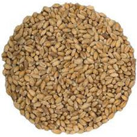 Second Nature Organic Grass Seed 35g