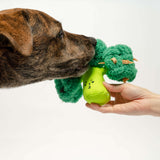 The Furryfolks Broccoli Nosework Toy